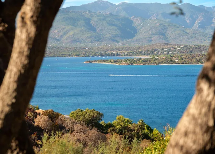 Villa Les Hauts De Pavellone *