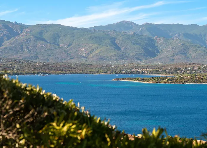 Les Hauts De Pavellone